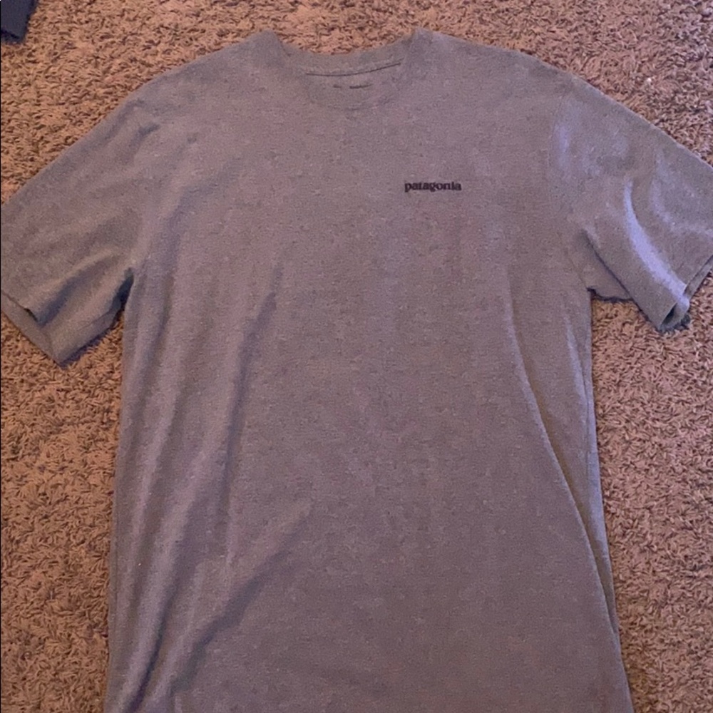 Patagonia ice pick responsibili-tee